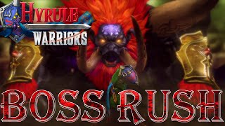 Hyrule Warriors - Boss Rush (All Giant Bosses)
