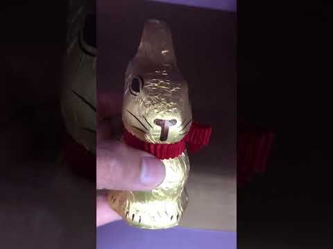 Lindt Gold Bunny 🐰 Milk Chocolate #lindt #goldbunny  #asmr #fyshorts #bunny