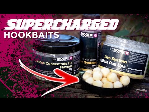 These Hookbaits Are A GAME-CHANGER  💪 🔥 Carp Fishing Winter Top Tips!