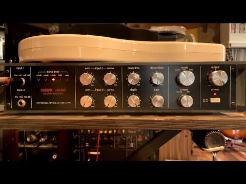 Hawk HA-80 Variable Delay | Serviced MIJ 80s BBD MN3005 image 15