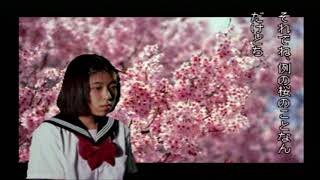 学校であった怖い話S 木には精霊さんがいてるで～！