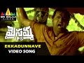 Maisamma IPS Video Songs Ekkadunnave O Mayamma Video Song Mumait Khan Sri Balaji Video