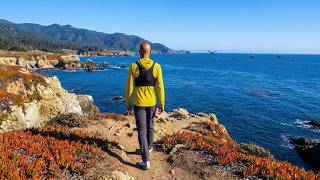 Hiking the Trails of Point Lobos State Natural Reserve With Wildlife Sightings | 4K HDR