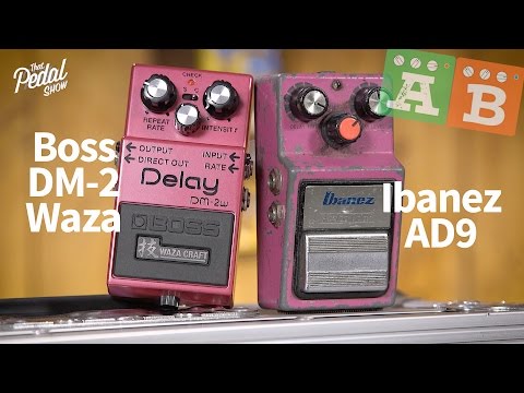 TPS AB Comparisons – Boss DM-2w & Ibanez AD9 Analog Delay
