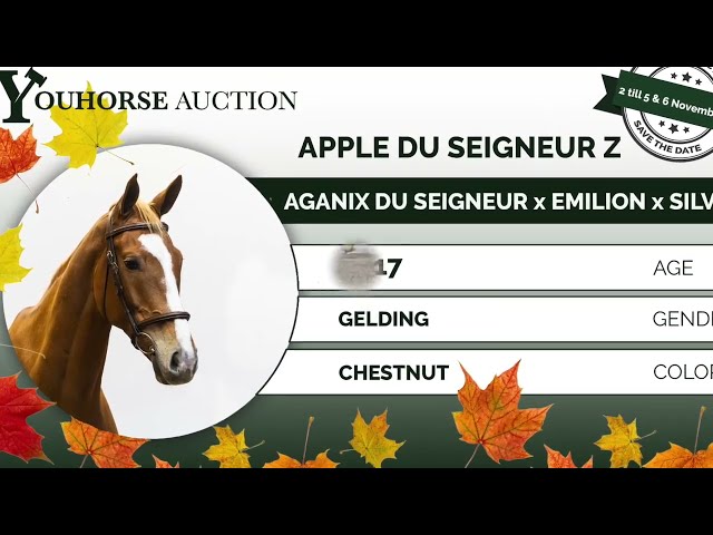 Apple du Seigneur showvideo
