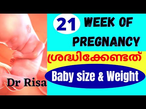 Pregnancy Week by Week Malayalam | 21 Weeks Pregnant