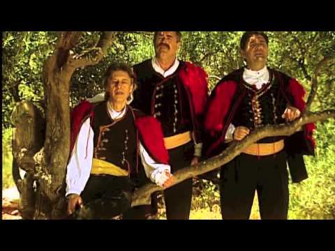 Klapa Maslina - Maslina Je Neobrana