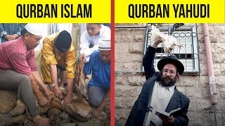 5 Fakta Tentang Qurban Yang Jarang Diketahui