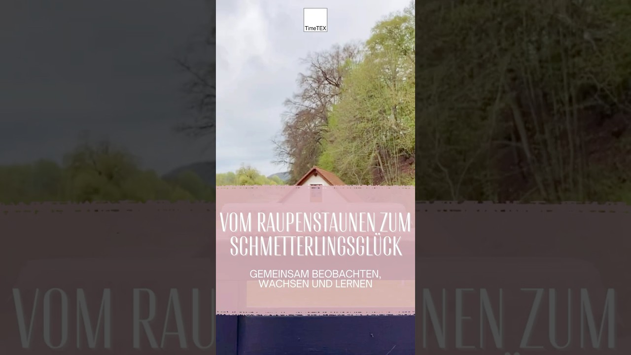 video placeholder