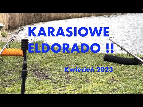 Feeder klasyczny i ryba za rybą ! Najskuteczniejsza przynęta na duże wiosenne karasie. Method feeder