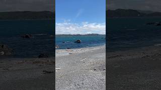 Joyride #shorts #roxette #lighthouse #pirates