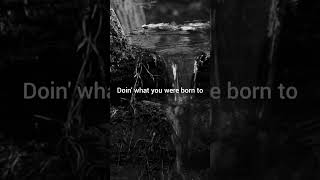 Download lagu Houndmouth For No one Lyrics mp3