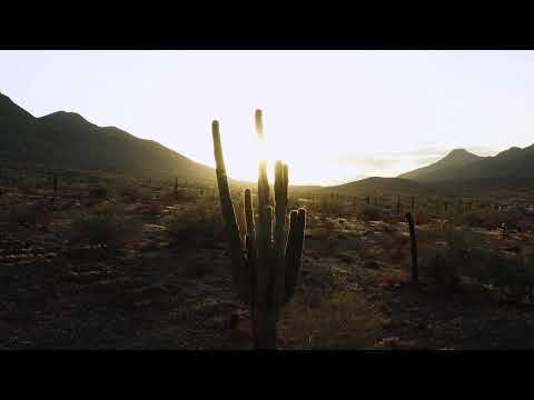Arizona B Roll | Phoenix Video Production