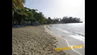 Tenable first Artist Amos W  Drummond