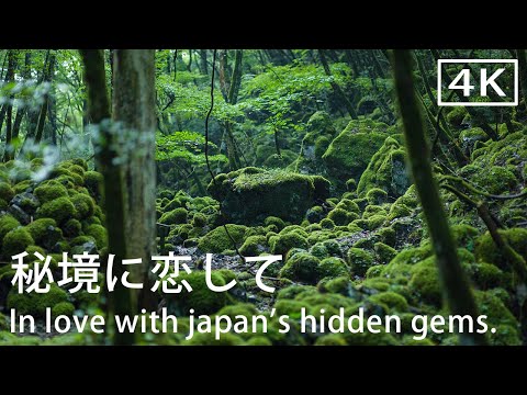In love with Japan's hidden gems 【Kamikatsu,Tokushima,Japan】