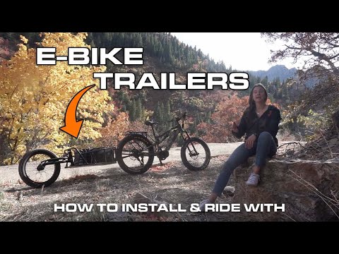 Are eBike Trailers Worth it??