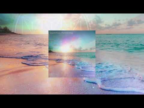 Forwards - Equanimous & Momentology