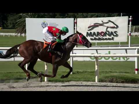 220225 c04 MINOTAURO