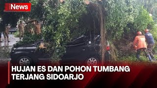 Download lagu Sidoarjo Hujan Es, Angin Kencang Tumbangkan Pohon - iNews Malam 26/02 mp3 Download lagu Sidoarjo Hujan Es, Angin Kencang Tumbangkan Pohon - iNews Malam 26/02 mp3
