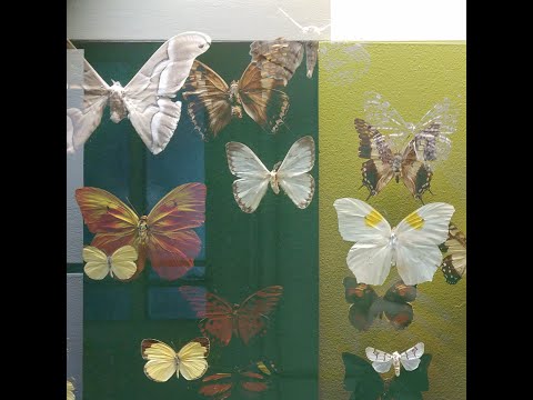 Youtube Video nRp34rBG6mY