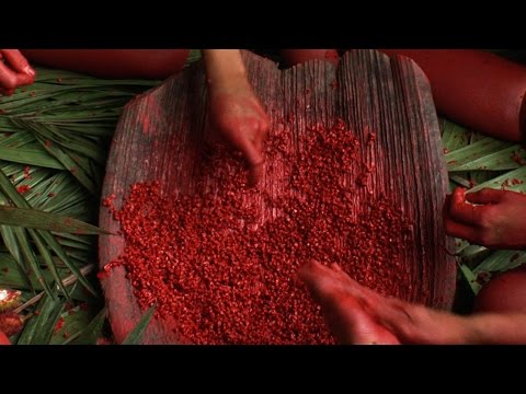 The Salt of the Earth clip - A representation