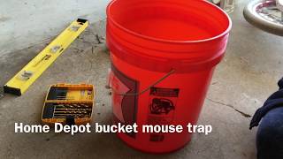 Home Depot bucket mouse trap & a dead mouse