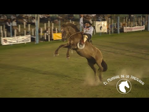 Gran final por Córdoba en Las Varillas para Jesús María 2026 - El Mundial de la Jineteada 190