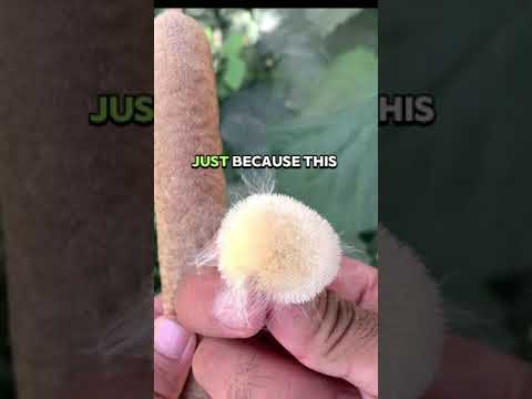 I met my old workplace bully whilst he was on a date part 2