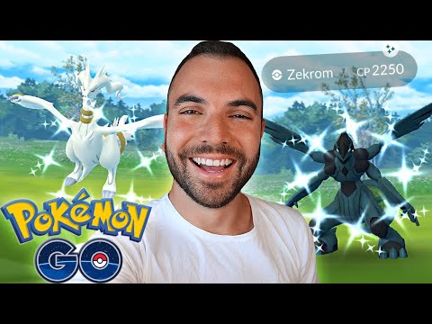 SHINY RESHIRAM & ZEKROM DEBUTTANO NEI RAID LEGGENDARI in POKÉMON GO!