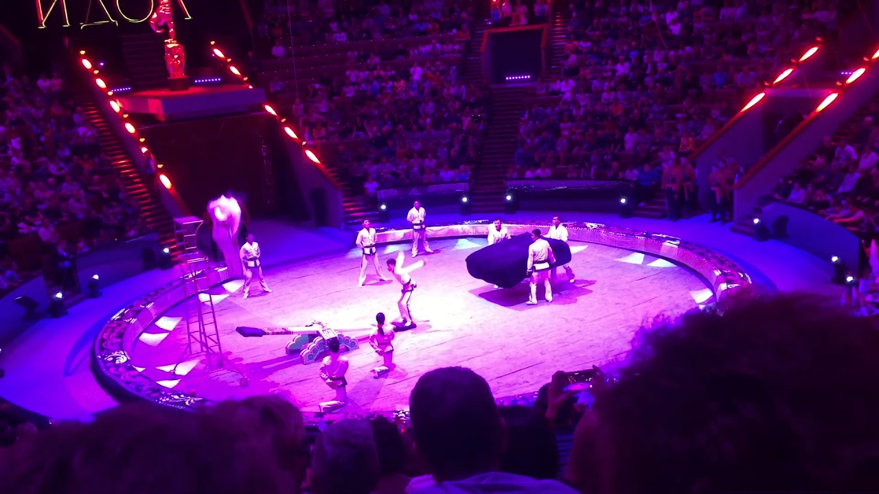 بهلوان يحاول كسر الرقم القياسي فانتهى الأمر بكسر رقبته