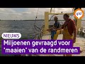Miljoenen gevraagd om randmeren bevaarbaar te houden, maar helpt dat wel?
