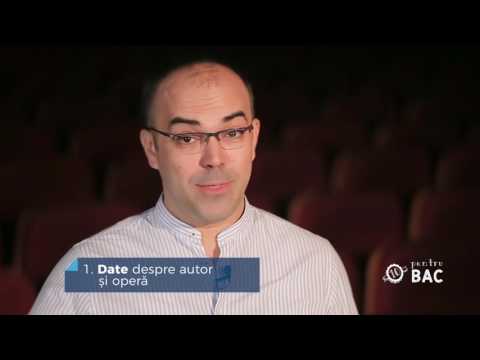 15. Iona de Marin Sorescu / prof. Gabriel Braic (PROMO)