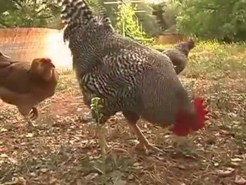 Thai Yoga Massage: Upper Ojai Training Studio in Southern California