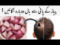 Onion Juice For Extreme Hair Growth Stop Hair Loss In Urdu Hindi