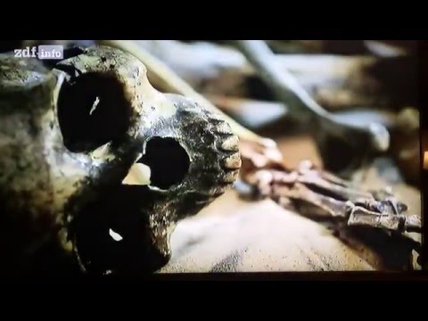 Mythen Jäger-Das Verfluchte Gold des Montezuma /Part 2