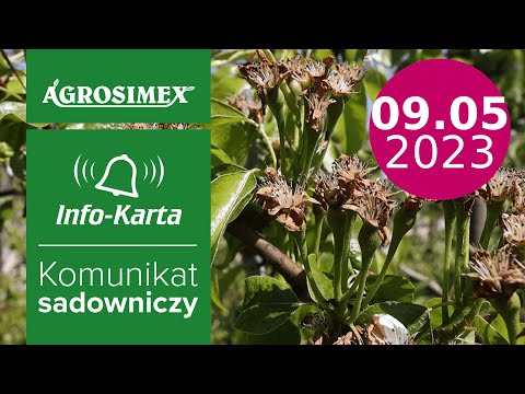 Grusze po kwitnieniu - odżywianie i ochrona przed Miodówką - komunikat sadowniczy | Agrosimex