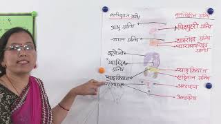 Body Structure and Life Process - Part 6