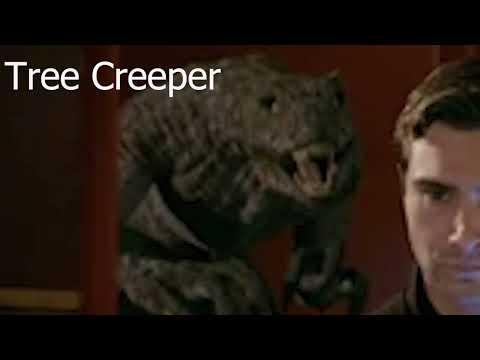 Tree Creeper Sound Effects Primeval