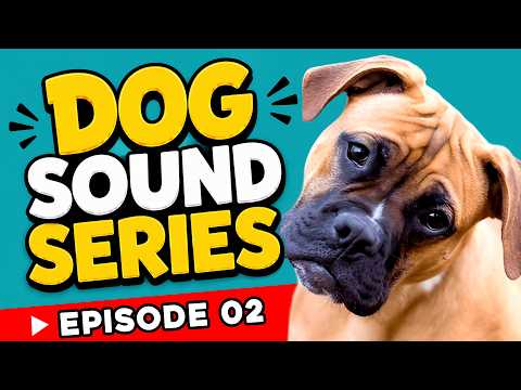 Dog Sound Series 🐶 | Episode 02: 10 Sounds Dogs Love to Hear