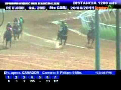 Resumen lunes 20 de junio 2011 - Rancho Alegre