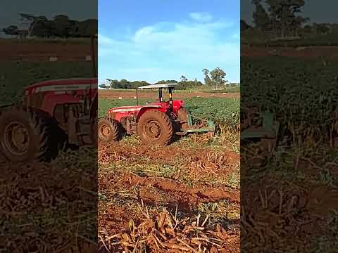 Santa Cruz de Monte Castelo Paraná E O Palco