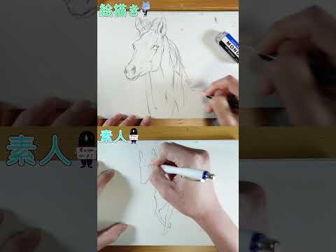 絵描きと素人「馬」描いてみた / I painted \Horse\ #干支 #イラスト #描いてみた #shorts