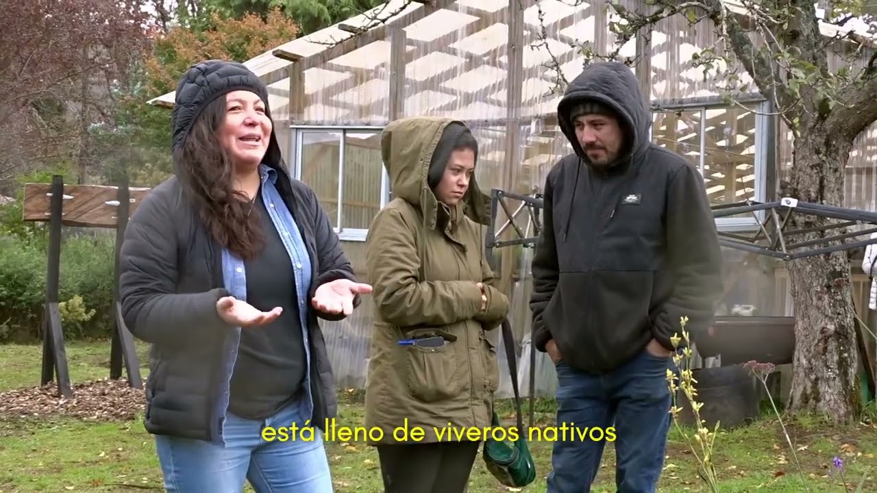 Tercer Taller de Formación en Viverización y Regeneración de Bosques Nativos_resumen 2026