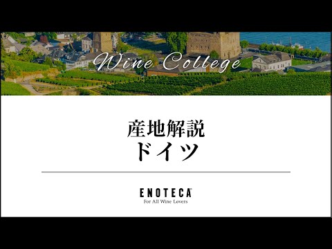 プラタニスタ・ガンジチカ