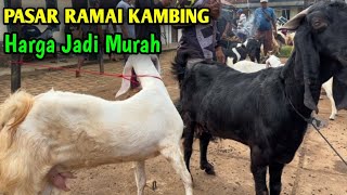 Download lagu Harga Kambing Hari Ini Murah Banget  mp3
