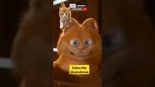 Download lagu Riva Riva Riva Cat #trending #viral #trendingshorts #viralshorts #shorts #latest mp3 Download lagu Riva Riva Riva Cat #trending #viral #trendingshorts #viralshorts #shorts #latest mp3