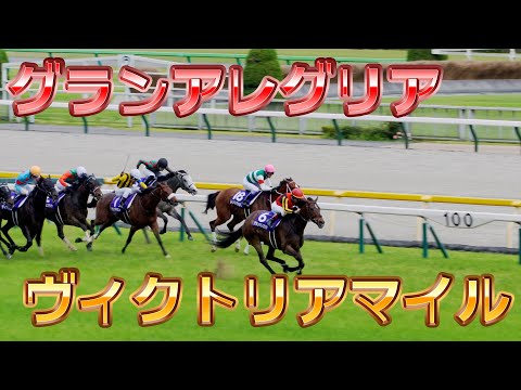 2021.05.16 ヴィクトリアマイル ロング版【現地映像】