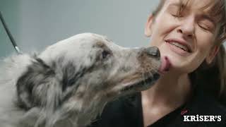 2026 Brand Video - :30B