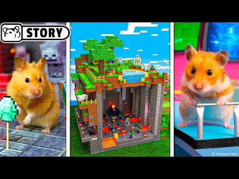 Most Awesome Hamster Shorts Compilation #2 🐹 Homura Ham