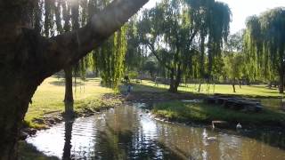 preview picture of video 'Pretoria Farmers Market, South Africa'